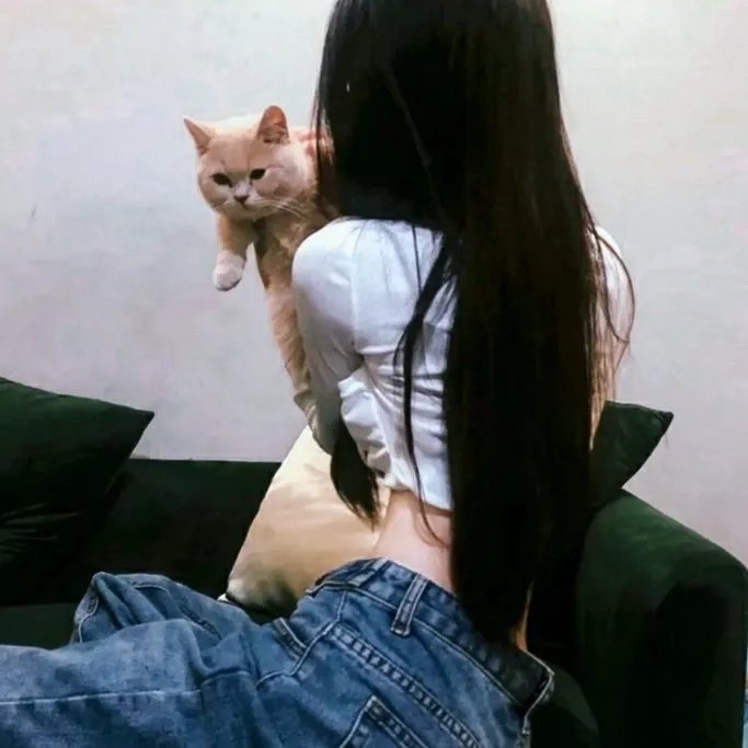 莫里斯的情人